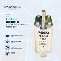 Fusible FEEO FDS-160 de 100A 1